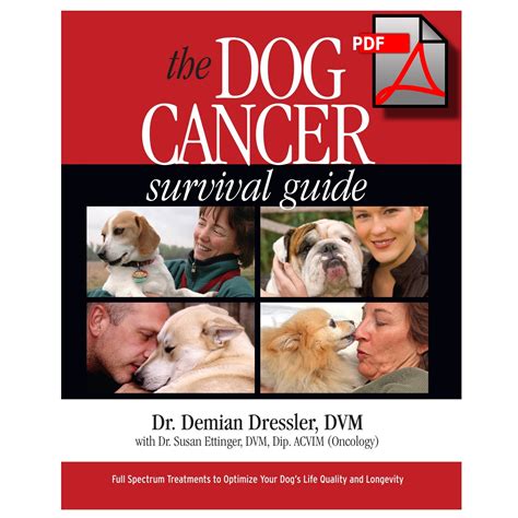 dog cancer survival guide book